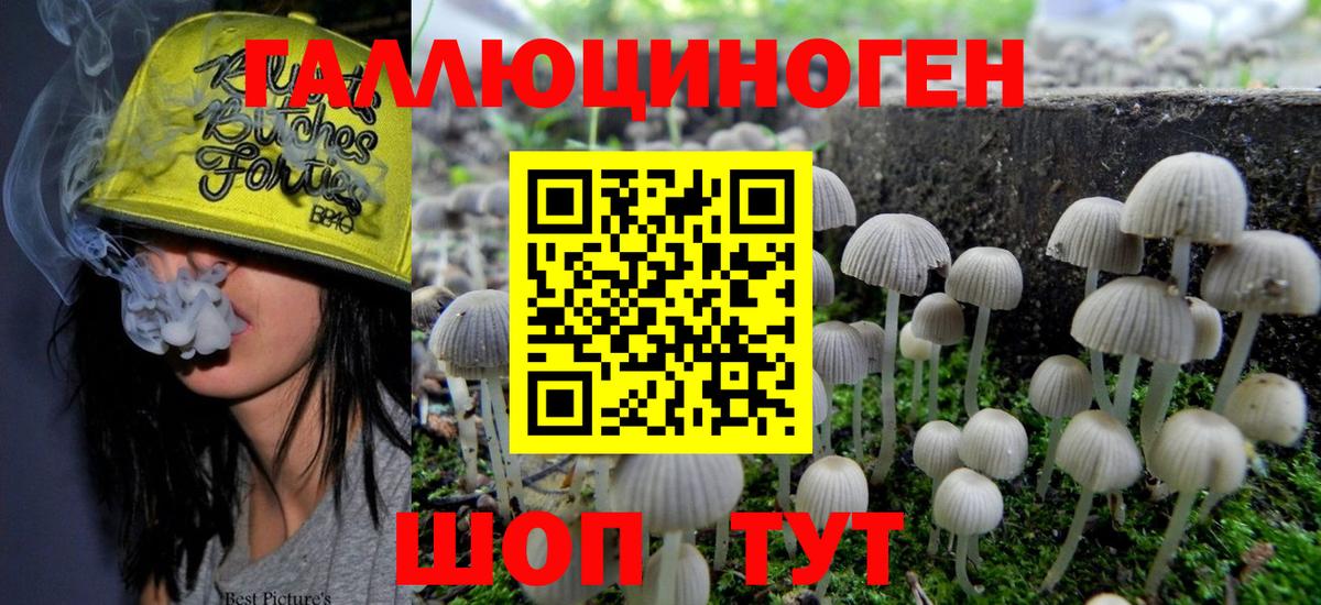 Галлюциногенные грибы Magic Shrooms  Псилоцибиновые грибы Cubensis  Новодвинск  Вход с VPN 